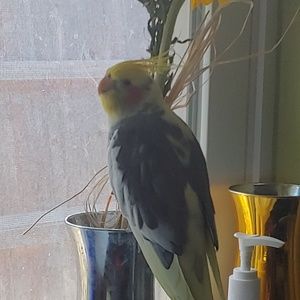 Meet your Posher, Beth